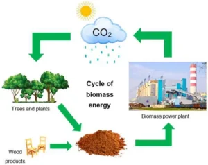 Utilizing Biomass from Wood: 50% of Electricity in Merauke is Eco-Friendly
