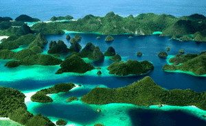 Raja Ampat: The Ultimate Underwater Adventure in Southwest Papua